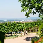 Konukevi Und Weingasthof Schwarzer Adler 3*