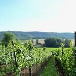 Konukevi Und Weingasthof Schwarzer Adler 3*