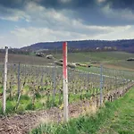 Und Weingasthof Schwarzer Adler Konukevi 3*