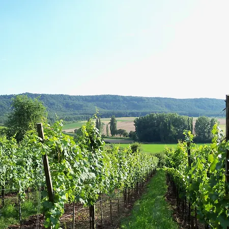 Penzion Und Weingasthof Schwarzer Adler 3*