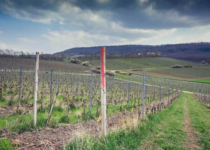 Und Weingasthof Schwarzer Adler Vendégház 3*