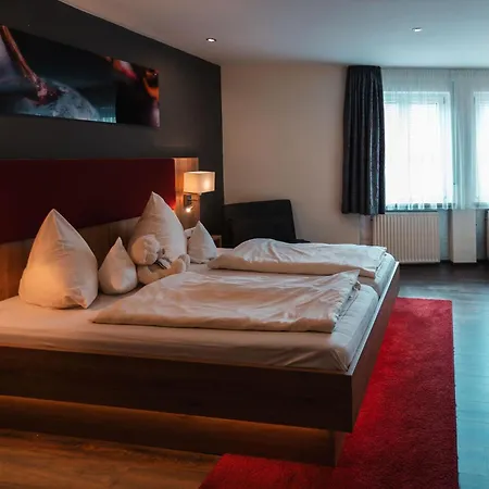 Und Weingasthof Schwarzer Adler Penzion 3*