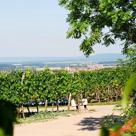 Konukevi Und Weingasthof Schwarzer Adler 3*