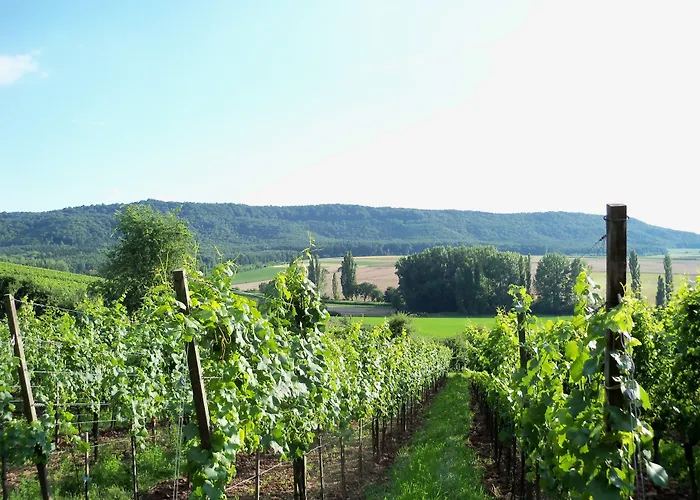 بيت ضيافة Und Weingasthof Schwarzer Adler 3*