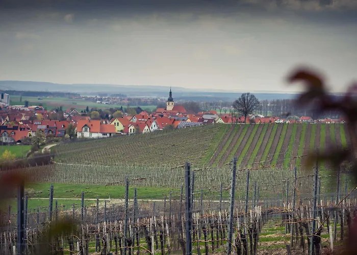 Und Weingasthof Schwarzer Adler بيت ضيافة Wiesenbronn